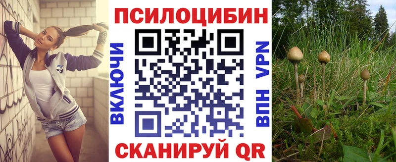 Купить закладки  Барнаул  Псилоцибиновые грибы Cubensis 